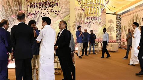 Vijay Meets Tamil Nadu CM MK Stalin at Wedding。